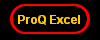 ProQ Excel