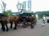 19092010390 (Small)